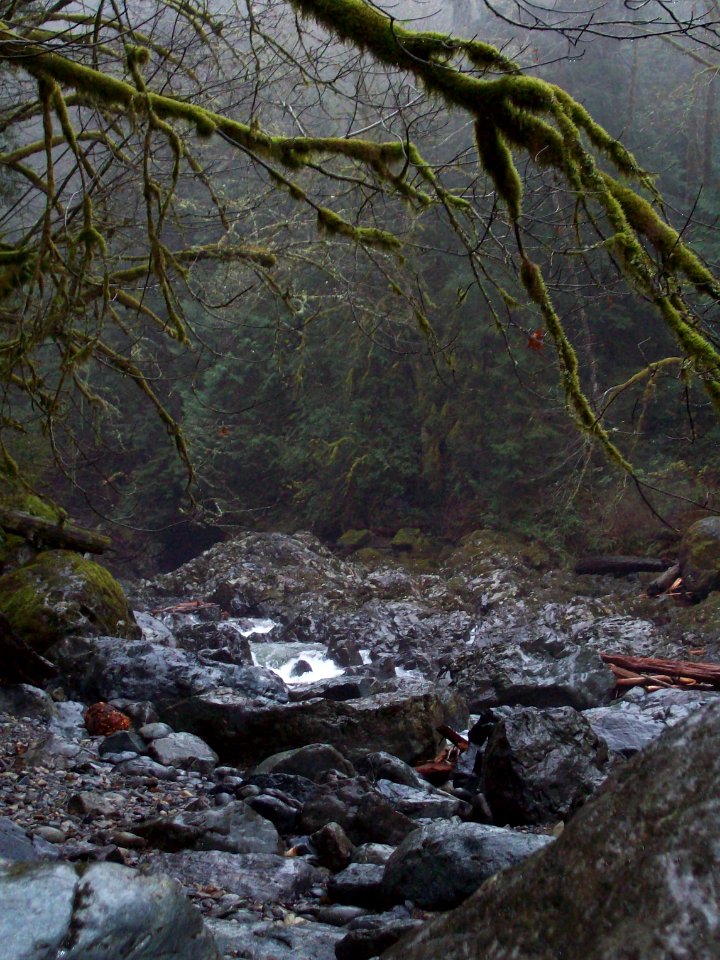 Twin Falls