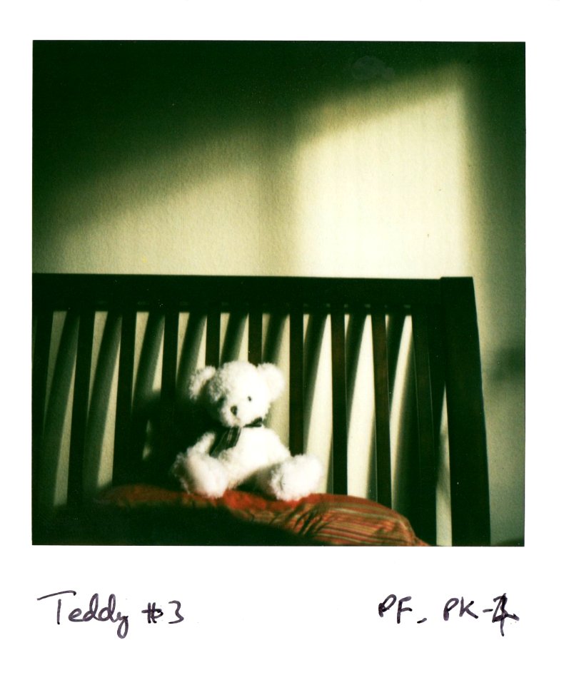 Teddy alone at home in the morning