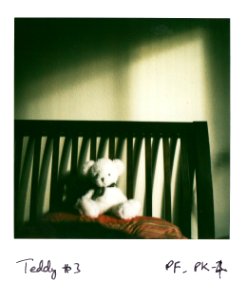 Teddy alone at home in the morning