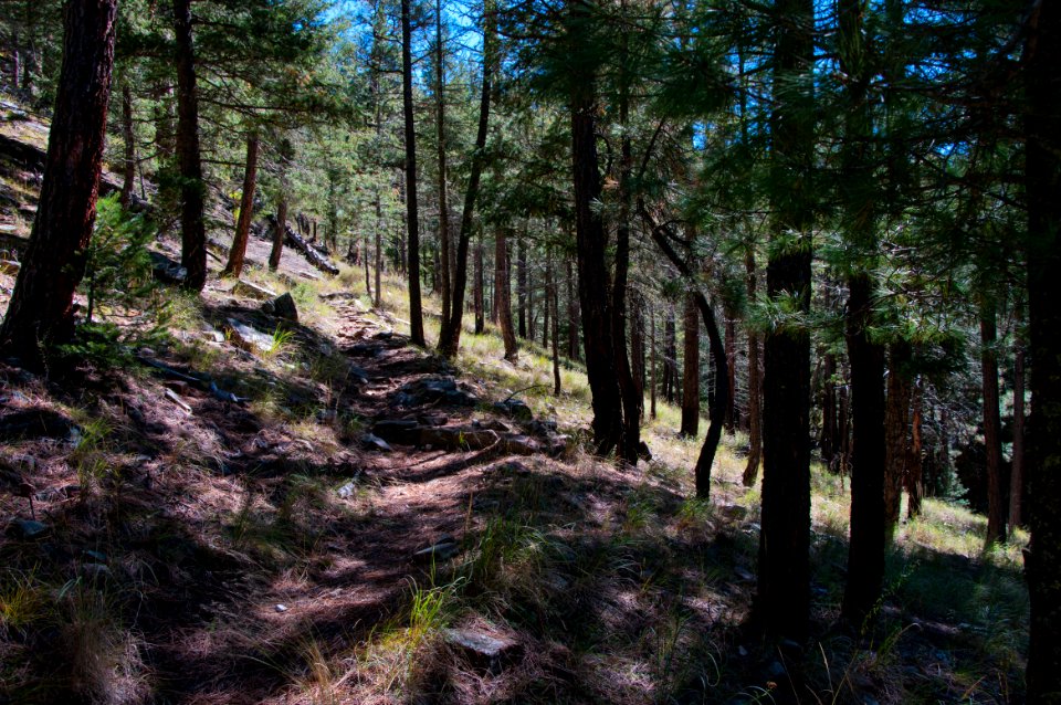 U-Bar Trail No. 28