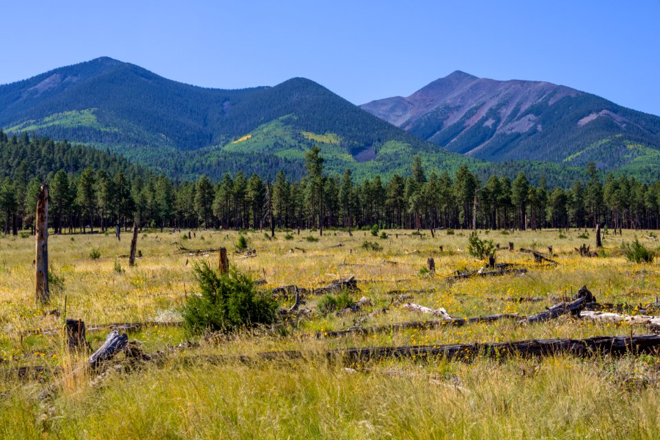 Around the Peaks Loop: FR 418