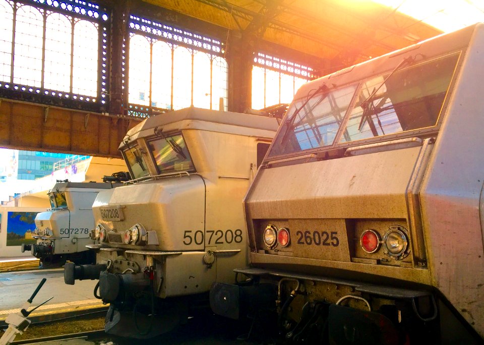 Sun streams through the roof of Paris-Austerlitz.