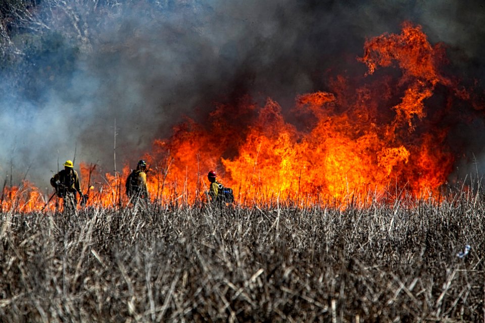 Wildland Fire Training at Crescent Moon