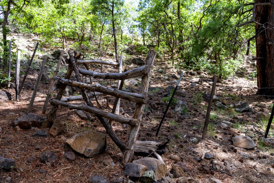 Arizona Trail: Anderson Mesa AZT-30