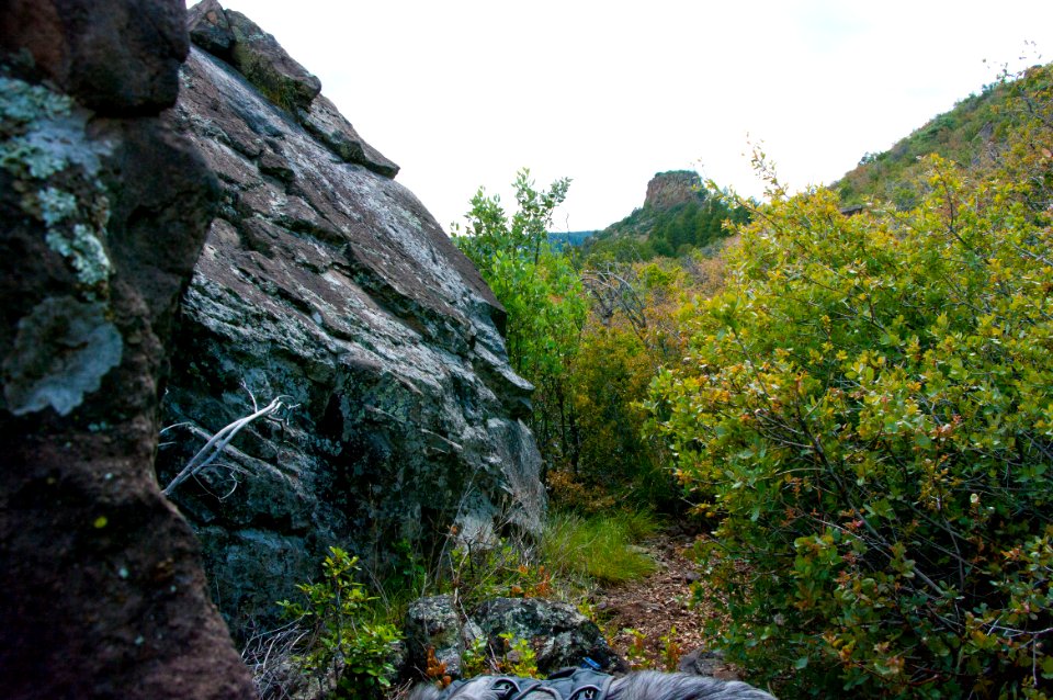 Kelsey Trail No. 3