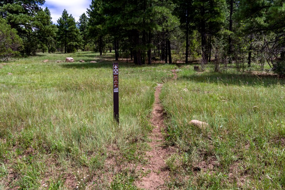 Arizona Trail: Anderson Mesa AZT-30