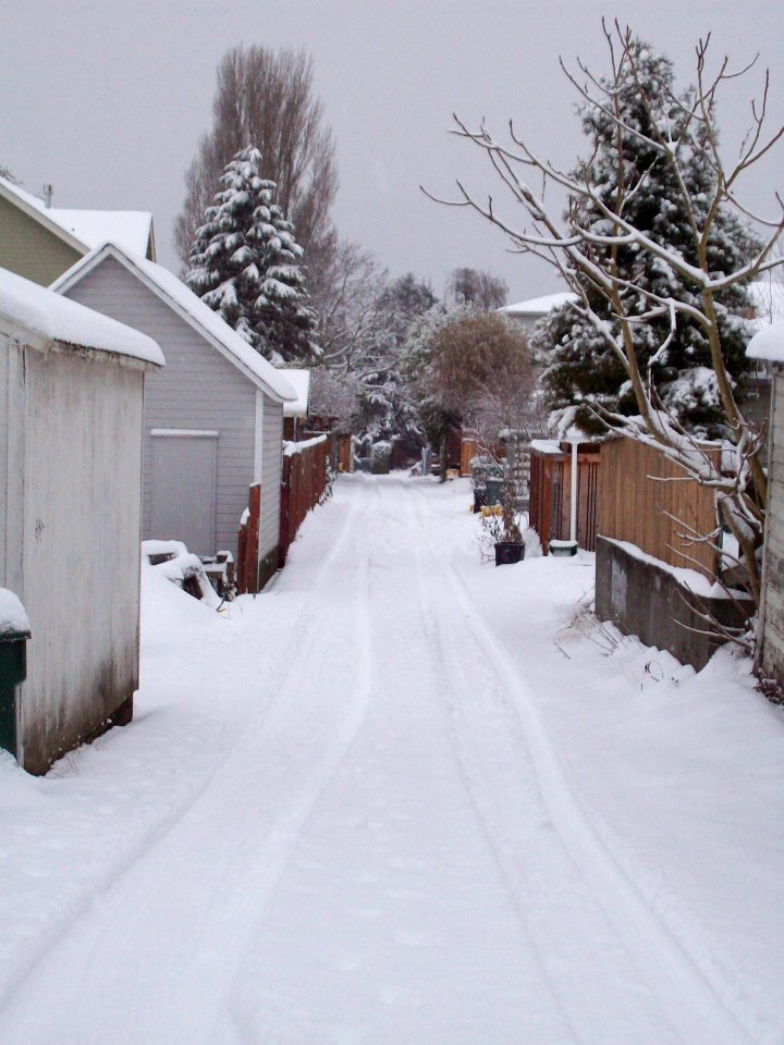 Ballard Snowfall
