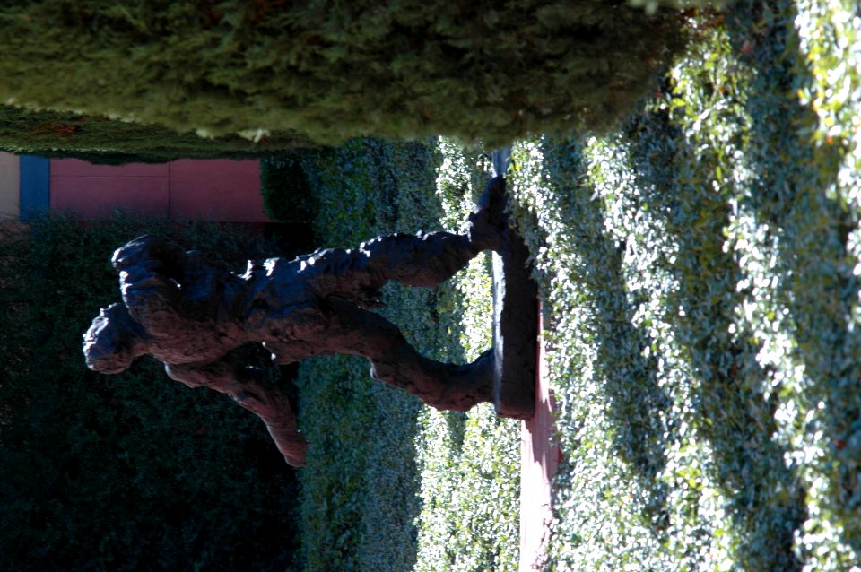 Clos Pegase man and shadows