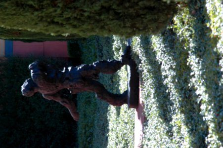 Clos Pegase man and shadows