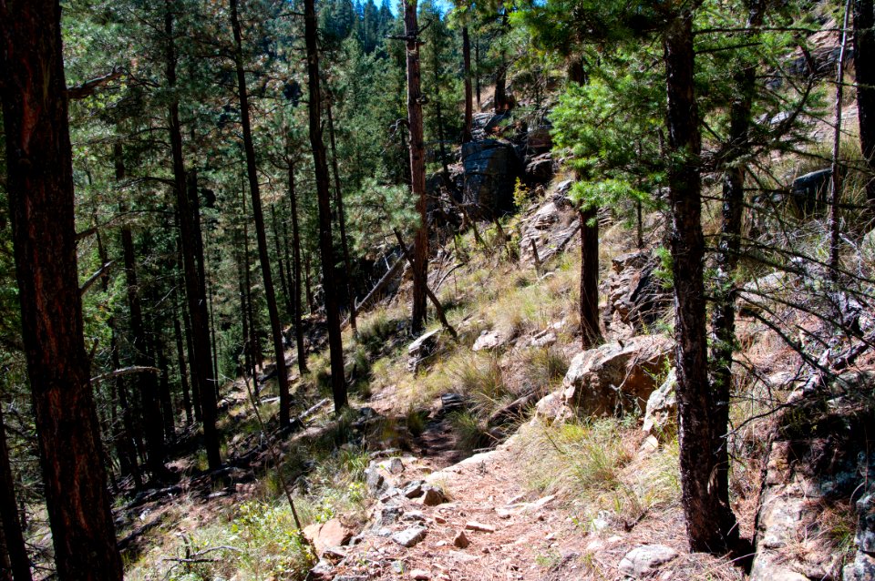U-Bar Trail No. 28