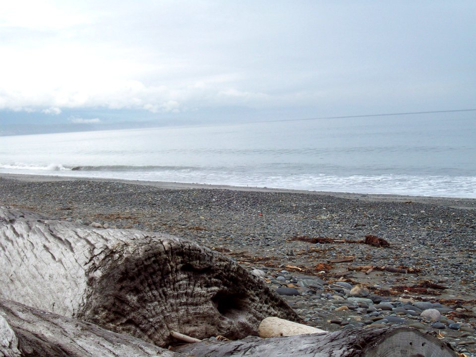 Dungeness Spit Preserve