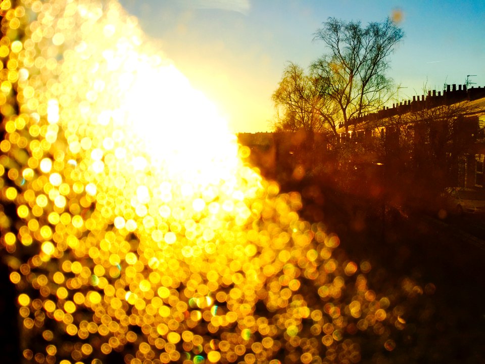 Frosty morning.
