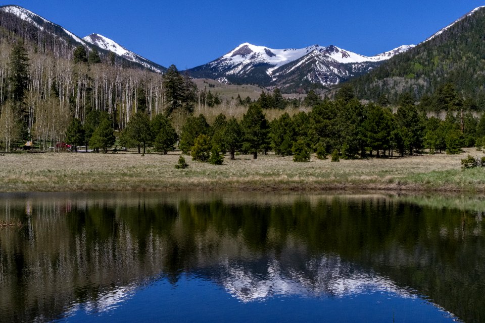 Lockett Meadow