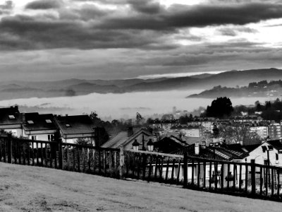 Olivares