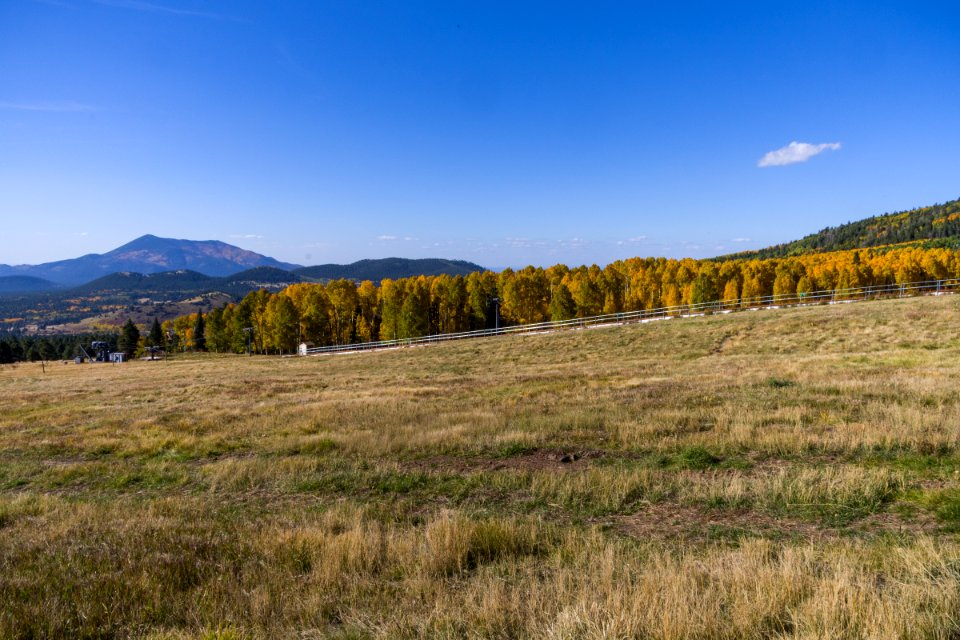 View from the Arizona Snowbowl