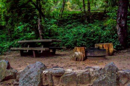 Manzanita Campground