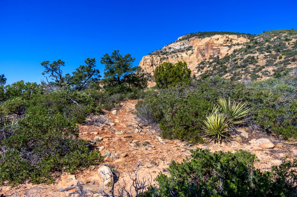 Bear Mountain Trail No. 54