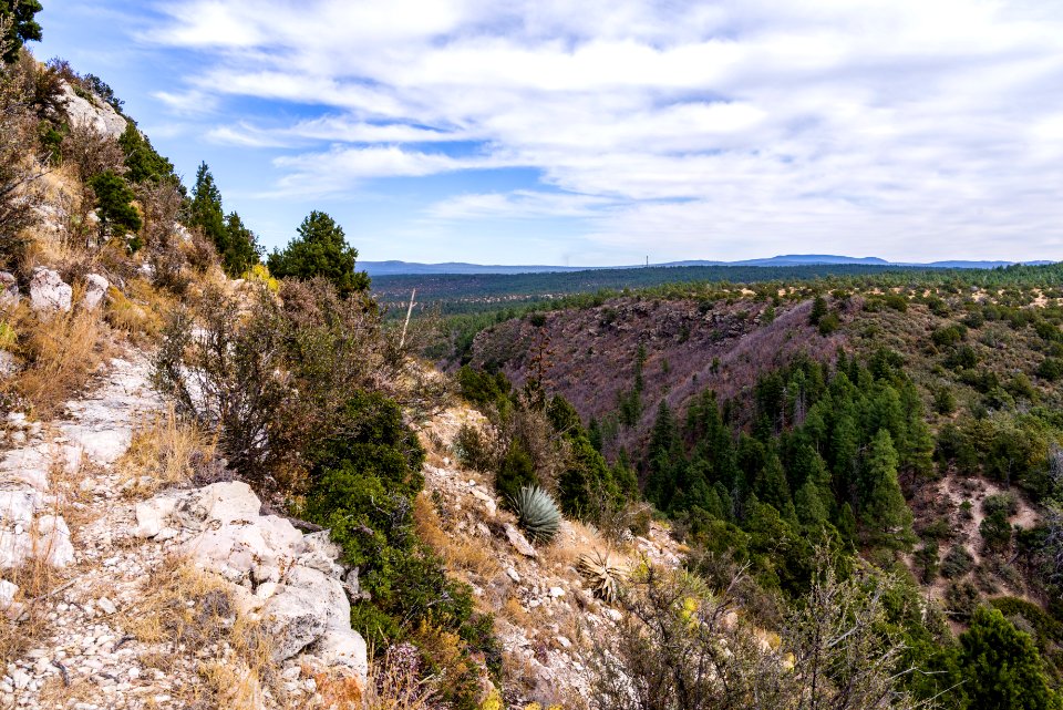 Munds Mountain Trail