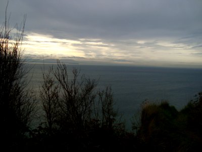 Along the Bluff