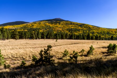 FR 418 north of the Peaks (October 4, 2017)