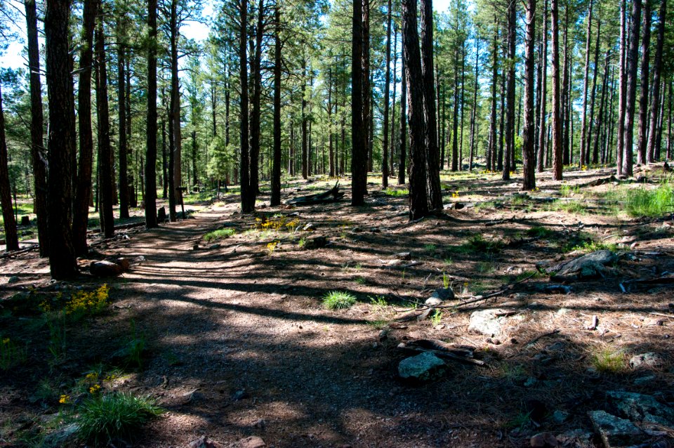 Griffith Spring Trail No. 189
