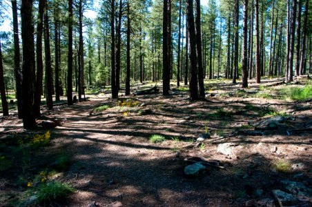 Griffith Spring Trail No. 189
