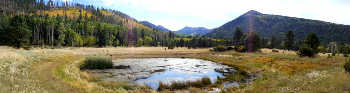 Lockett Meadow (September 27, 2017)