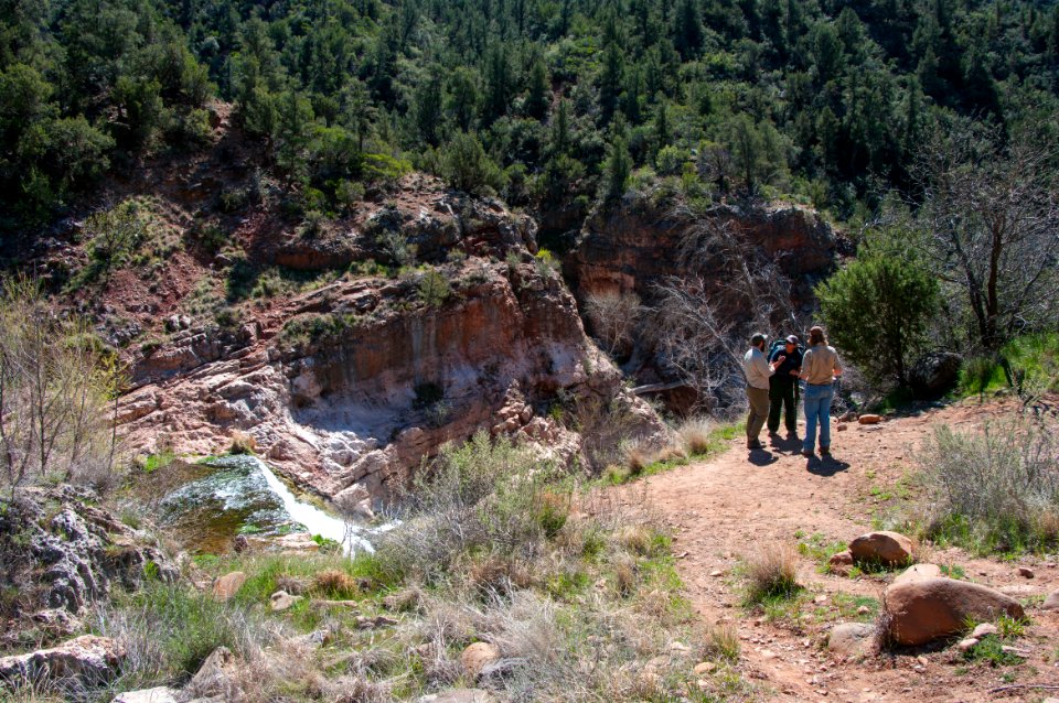 Fossil Springs Trail No. 18
