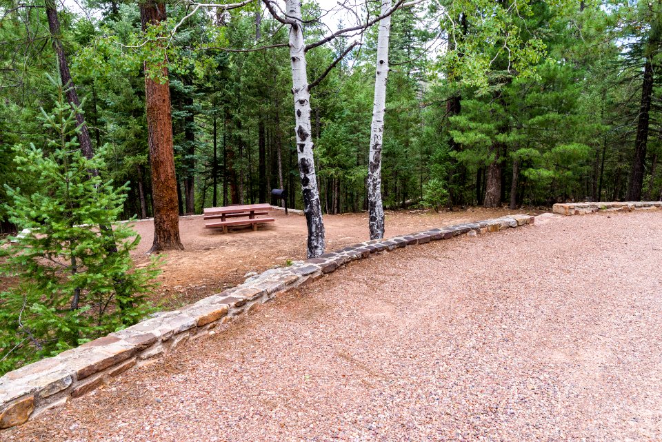 Knoll Lake Campground