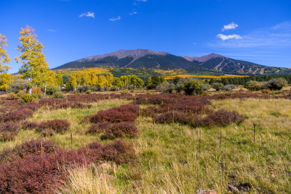 Around the Peaks Loop: Hart Prarie Road