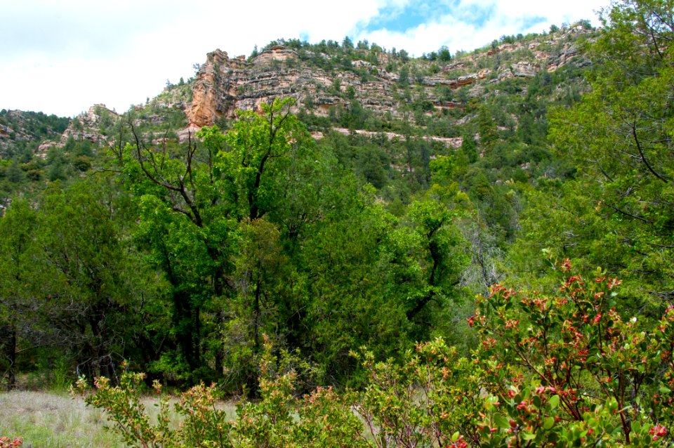 Little L.O. Trail No. 6