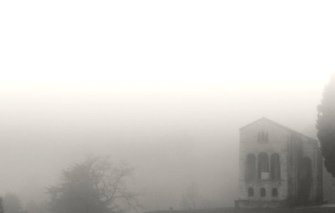 Niebla en el Naranco