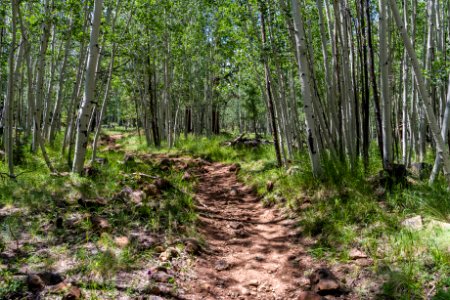 Weatherford Trail