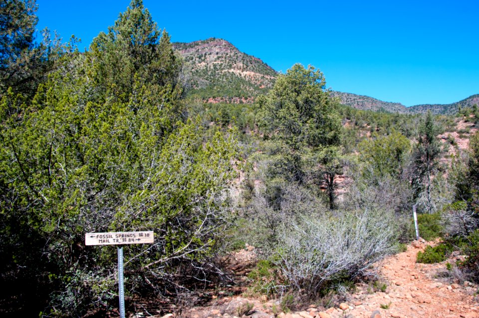 Fossil Springs Trail No. 18