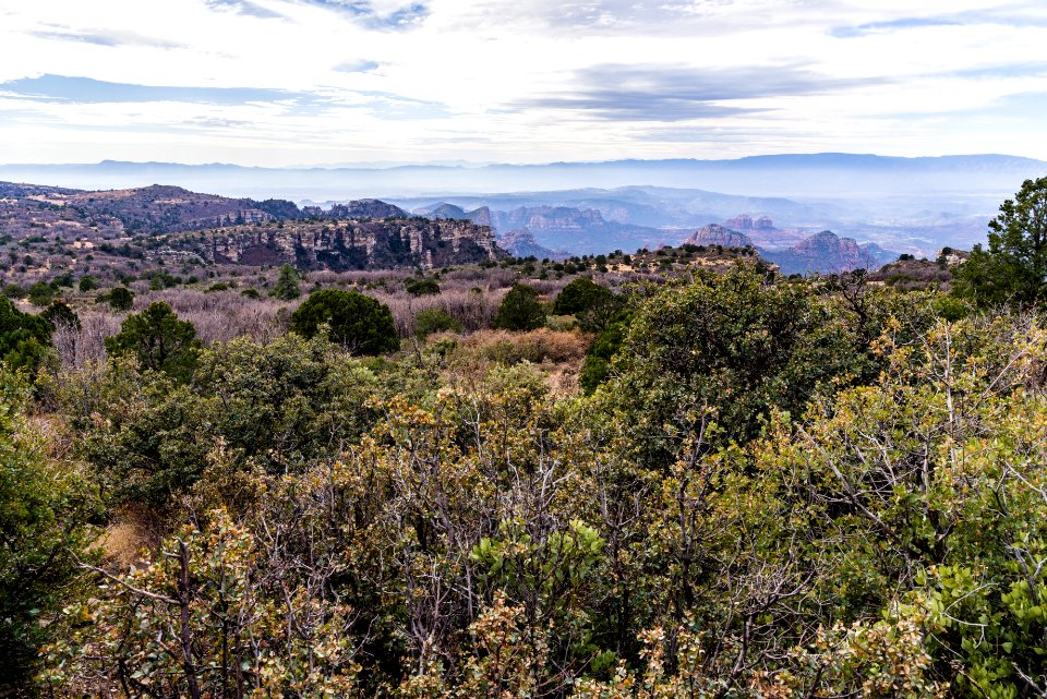 Munds Mountain Trail