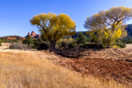 Turkey Creek Trail