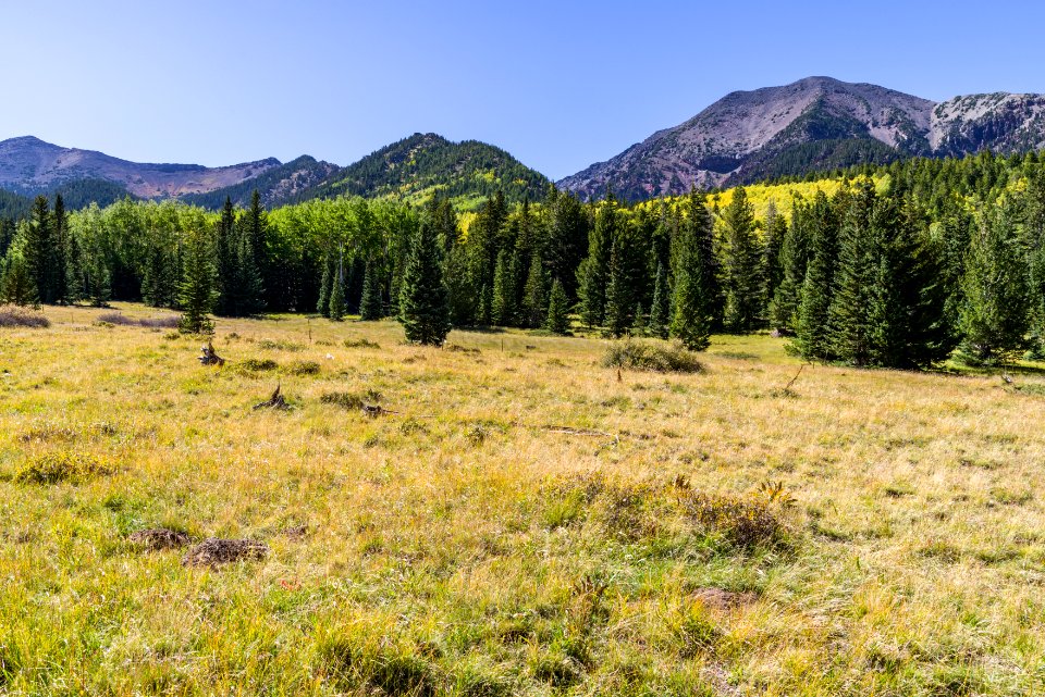 Inner Basin Trail
