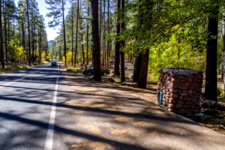 Fall color in Oak Creek Canyon (October 16, 2017)