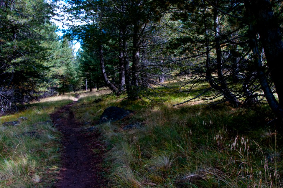 Arizona Trail Passage 34