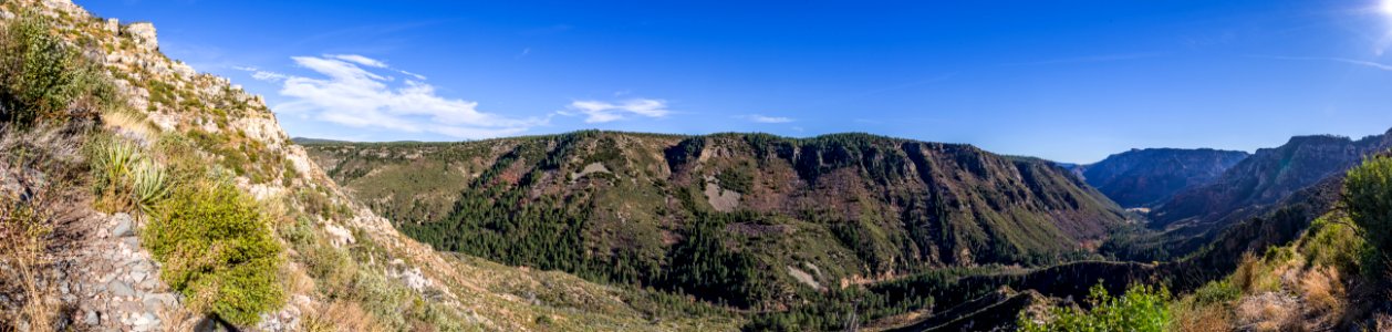 A.B. Young Trail