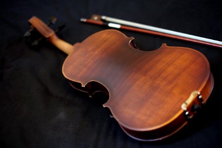 Violin