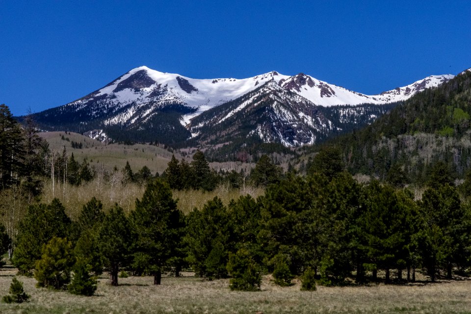 Lockett Meadow