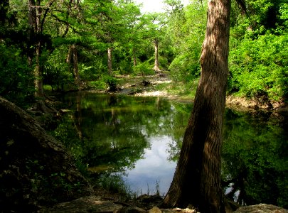 Onion Creek.