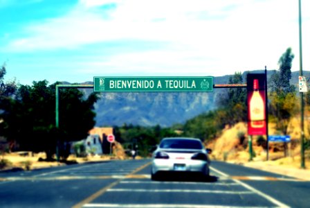 Bienvenidos a Tequila