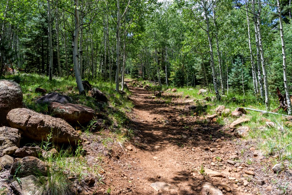 Weatherford Trail
