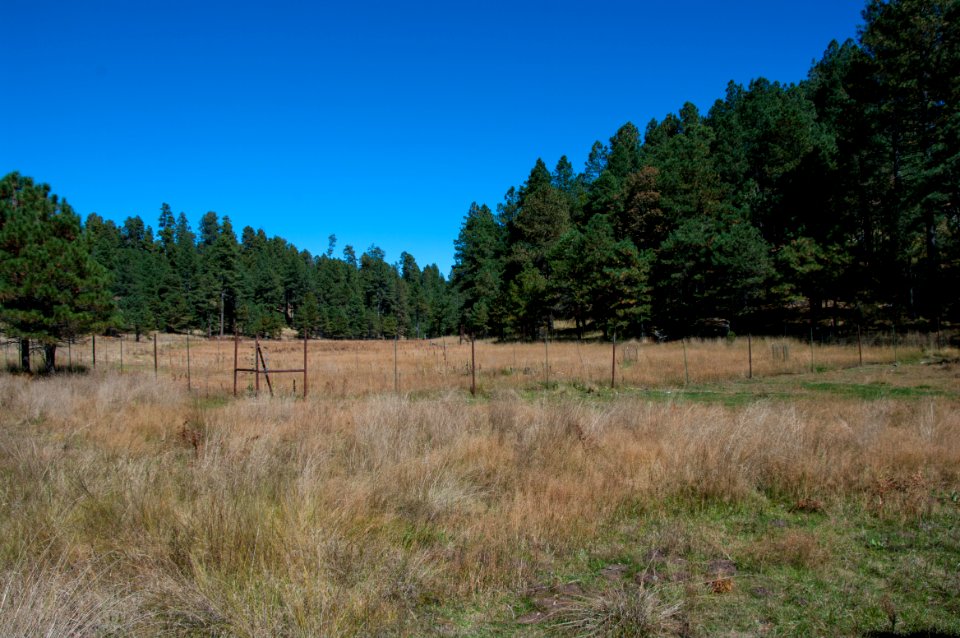 U-Bar Trail No. 28