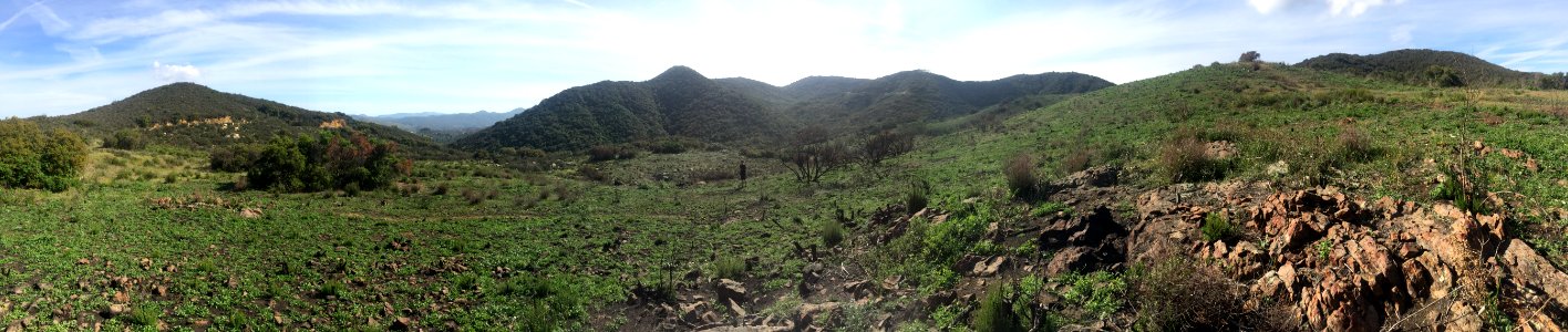 Burn spot - North Main Divide Truck Trail