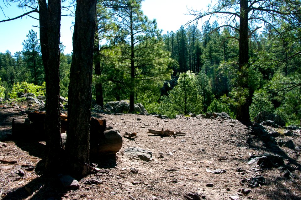 Griffith Spring Trail No. 189