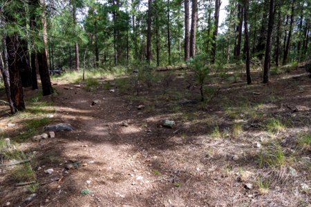 Kinder Crossing Trail