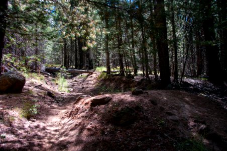 Bismarck Lake Trail